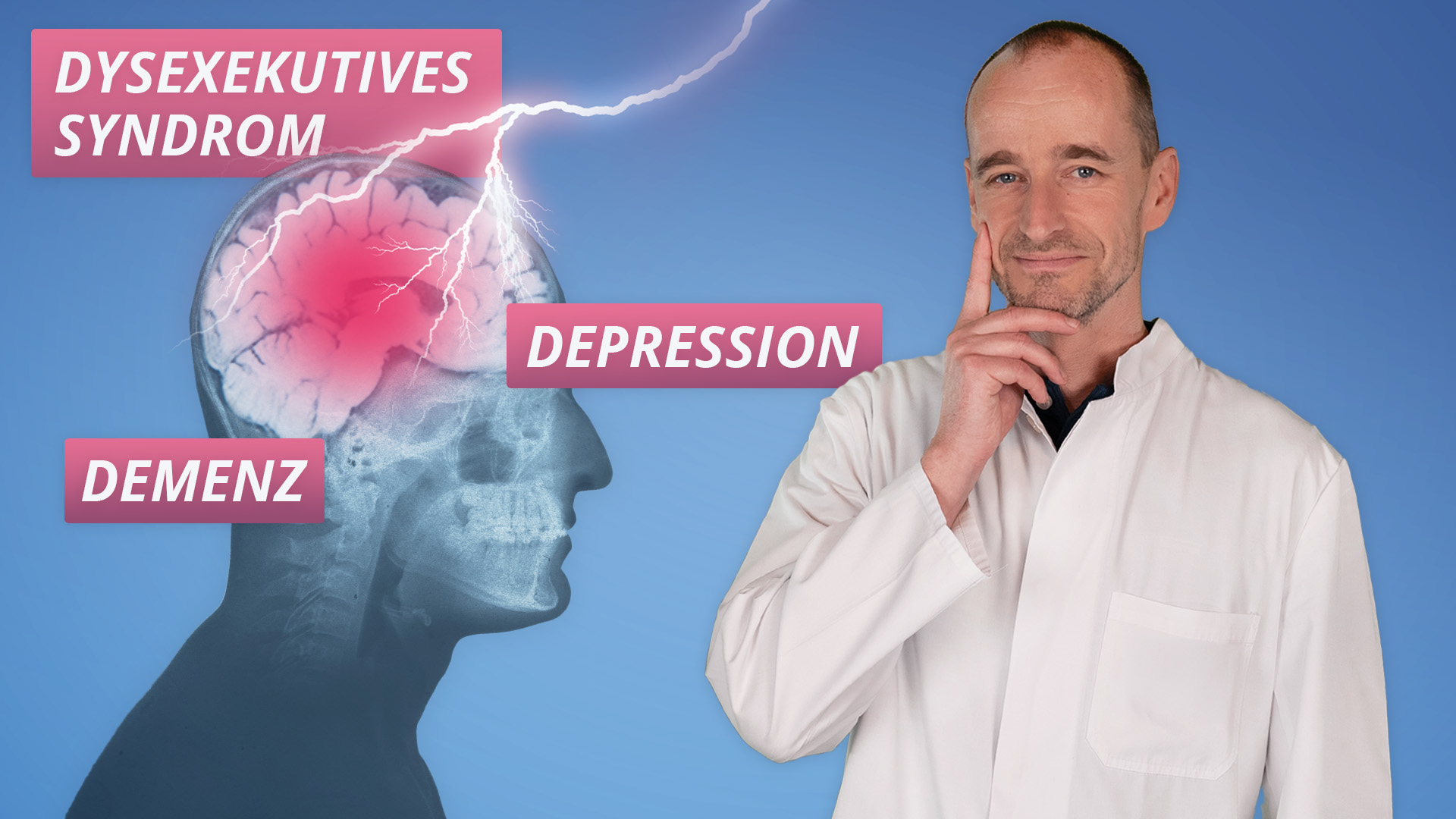 Vorschaubild zum Kurs: Schlaganfall: Mögliche Folgen für Psyche, Gedächtnis und höhere Hirnleistungen
